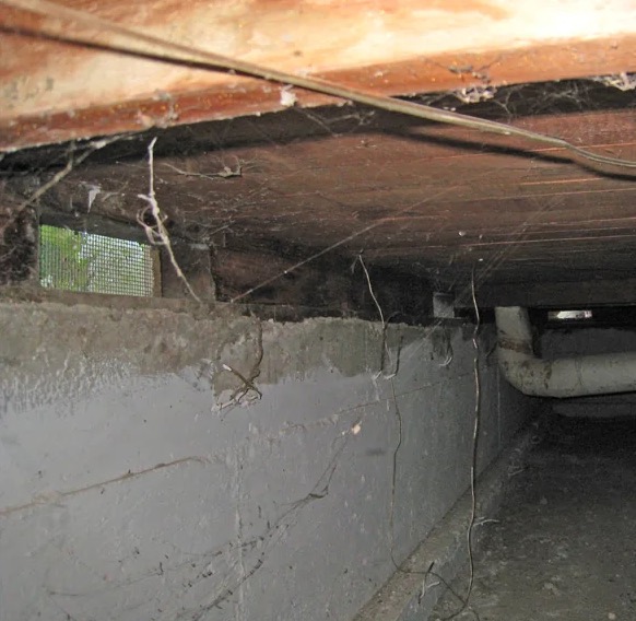 Crawl Space Water Extraction in Oak Leaf, TX