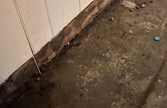 Sewage Water Removal in Sanger, TX